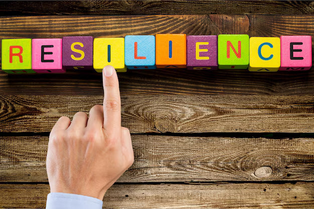 How To Conduct A Resilience Assessment AU Example